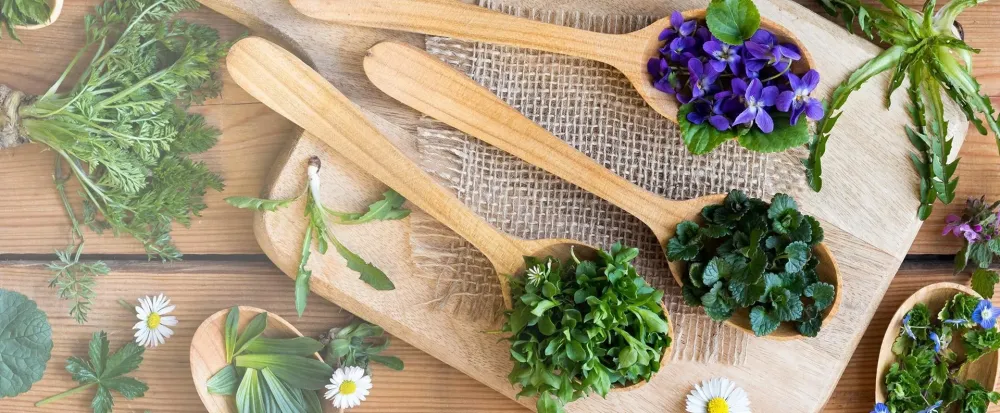 Rééquilibrage alimentaire à Nancy